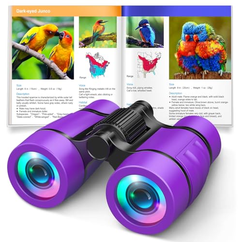 Girls Toys Age 3-7: LET'S GO! Compact Bird Watching Binoculars for Kids Ages 3 4 5 6 7 Year Old Girl Boy Gifts Idea Outside Travel Educational Toy for Kid Preschool Toddler Stocking Stuffers - color: Purple