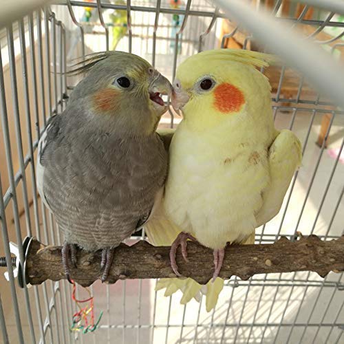 Hypeety Natural Prickly Ash Wood Bird Perch Stand Paw Grinding Perch Toy | Natural prickly ash wood, bark texture for grip, chew-proof and durable, for budgie/parakeet/cockatiel/lovebird, 7.86''/20cm - size: 7.86 inch