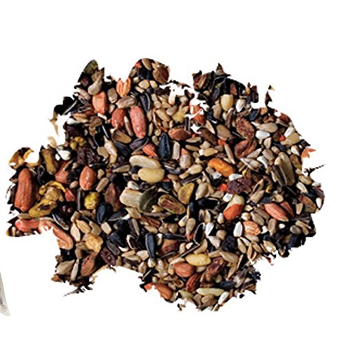 Wild Delight Woodpecker, Nuthatch N' Chickadee Food, 5 lb (Pack of 2) - size: 5 Pound (Pack of 2), style: Nuthatch N' Chickadee