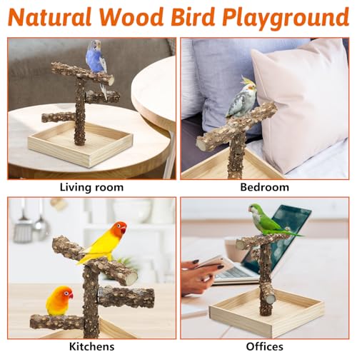 BNOSDM Portable Bird Perch Stand with Potty Tray, Natural Wood Tabletop Training Gym Parrot Playground Toy for Budgies, Cockatiels, Lovebirds,Conures Canaries - color: Three Levels Bird Stand