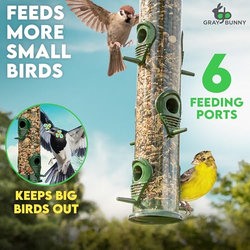 Gray Bunny Squirrel Proof Bird Feeders for Outdoors 6 Port Metal Tube | Bird feeder squirrel proof, locking lid & adjustable hanger, chew-proof, weather resistant, easy clean - color: Green