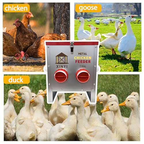 XINYI 7.1 Gallon Auto Chicken Feeder, 6 Ports Galvanized Chicken Feeder,Large Chicken Food Container No Waste & Rodent Proof Chicken Food Dispenser System, Weatherproof Duck Feeder - size: 6 ports