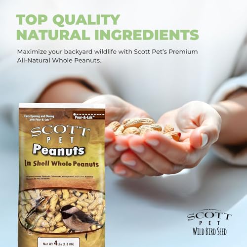 Scott Pet Wild Bird Seed, Whole Peanuts, 4 Lb Bag | A high-energy seed blend for outside wild birds that works with all feeder types