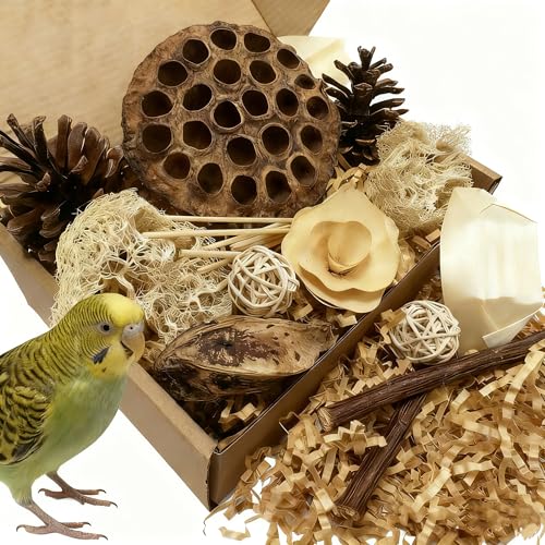Bird Toys - Lotus Pod Foraging Box, 10 Natural Ingredients | Chewing and Shredding Parrot Toys | Ideal for Parakeets/Cockatiels/Conures/Lovebirds and Small to Medium Birds - size: Lotus Pod Foraging Box