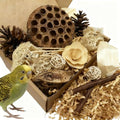 Bird Toys - Lotus Pod Foraging Box, 10 Natural Ingredients | Chewing and Shredding Parrot Toys | Ideal for Parakeets/Cockatiels/Conures/Lovebirds and Small to Medium Birds - size: Lotus Pod Foraging Box