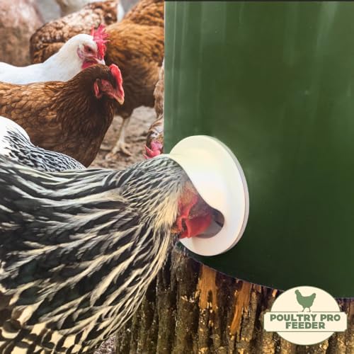 Poultry Pro DIY Chicken Feeder Kit, Poultry Feed, Weatherproof, 1 Port | As Seen on Shark Tank, Single Port, Gravity Fed Chicken Feeder, for Buckets, Bins & Troughs (Bucket & Hole Saw Not Included) - style: Original Feeder 1 Pack