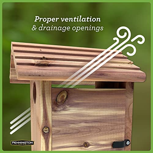 Pennington Pride Cedar Birdhouse for Outdoor, 1 Adult, 3-4 Babies | Birdhouses for outdoors, side opens for cleaning, ventilation and drainage openings, hanging hardware included - size: Holds 1 Adult, 3 - 4 babies