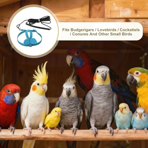 Bird Harness Leash, Adjustable Pet Parrot Bird Harness and Leash Lightweight Anti-Bite Flight Training Rope with Cute Wing, (Blue, XS), Intended for Parrots/Pigeons/Budgies - color: Blue, size: Extra Small