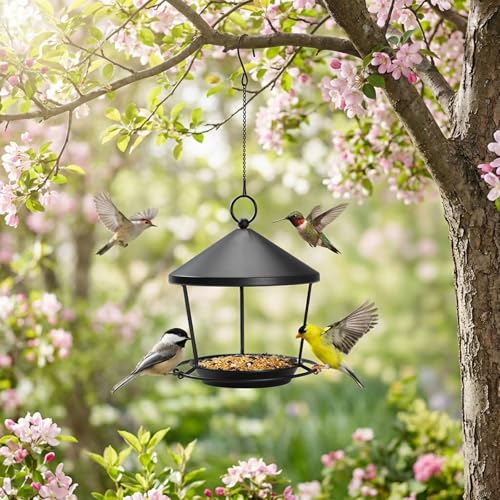 DoReFaSolWild Bird Feeders Hanging Balcony Bird Feeder Hanging Bird Bath | Bird Feeder for Outdoor Hanging Bird Bath and Feeder with Chain and Hook Hanging Bird Feeder with Roof Bird Feeder For Patio - size: S