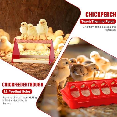 7PCS Chick Feeder and Waterer Kit with Wooden Perch,Baby Poultry Starter Set with Chick Perch for Small Poultry Chicks Ducks Quail Pigeons Birds(Red Chick Feeder Waterer Kit) - color: 7PCS Chick Feeder and Waterer Kit with Chick Perch