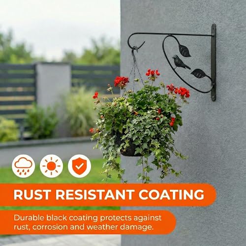 Bird Scroll Metal Wall Bracket for Hanging Accessories and Flowerpots Suitable for Indoor & Outdoor Use, Black Set of 2 - color: Black, size: Bird Scroll