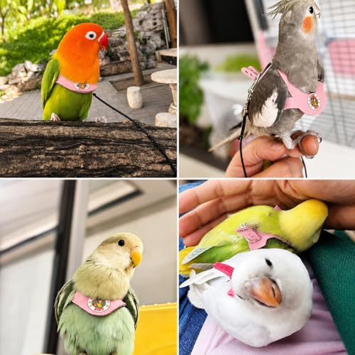 Bird Harness and 3M Elastic Flight Leash, Adjustable Parrot Harness for Budgies, Parakeets, Lovebirds, Cockatiels, Conures, Quaker Parrots, Pigeons(Pink, S) 6350-18 - color: Pink, size: S,for Green Cheek and similar size birds
