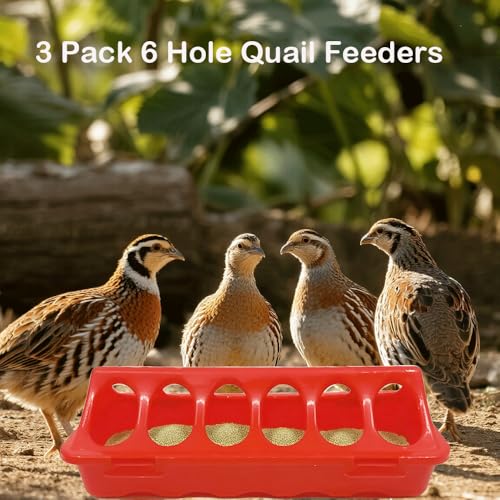 7 Pack Chick Feeder and Waterer Kit No Waste with Chick Perch Flip Top Small Poultry Feeder Trough Quail Feeding Supplies Baby Chick Starter Kit for Chicken Coop Brooder Duck Quail Gravity