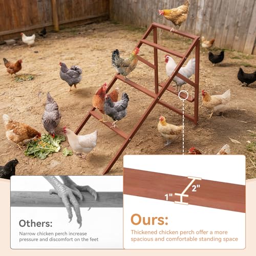 PETSFIT Wooden Chicken Roosting Bars for 8-10 Chickens, Easy Assembly | Multi-Level Design with 4 Perchs and Swings, Durable Fir Wood for Outdoor Coops,Ideal for Backyard Farms,Easy to Clean - size: 51"L x 26.6"W x 38"H