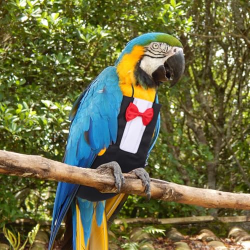 HANABASS Bird Diapers Parrot Flight Suit with Bowknot Washable Reusable Pet Bird Suit for Cockatiel Budgie Lovebirds Cheek Conure Lightweight Breathable Clothes 2 Pack - size: L