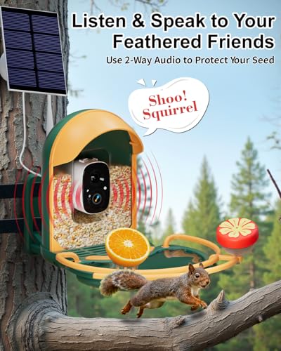 Bird Feeder with Camera, AI Recognition, Bird Bath, Solar Powered | Identify birds with AI, capture sharp 2K video, enjoy solar charging, bird bath design and instant smart app alerts. - color: Green, size: With BirdBath
