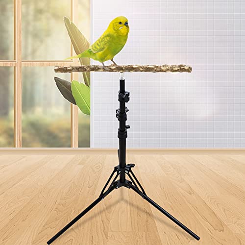 16-63 Inch Adjustable Bird Perch Stand, Natural Pepper Wood Parrot Training Perch Toy, Indoor & Outdoor Accessories for Small to Medium Birds Parrots Parakeets Cockatiels Conures Budgies Finches - size: Size A