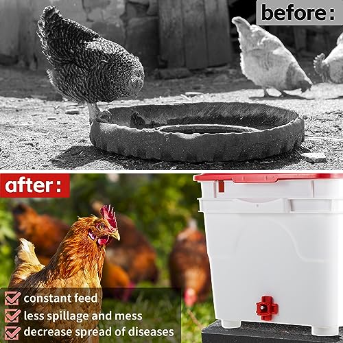 Dreyoo 40 Pcs Horizontal Chicken Waterer Nipples with Drill Bit | Cleaner Water, Water-Saving Release, Dual-Seal Protection, Durable ABS & Steel, Wide Poultry Use, Complete DIY Kit