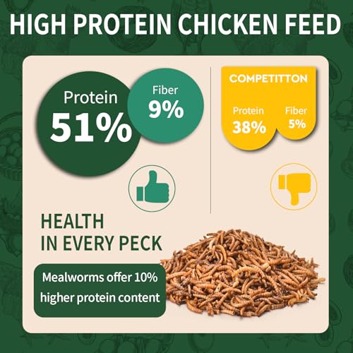 BUNTIE WORMS 5LB Dried Mealworms for Wild Birds and Chicken | High Protein Chicken Treats, 100% Natural Non-GMO Mealworms Chicken Feed for Bluebirds, Chickens, Ducks, Reptiles - size: 5 Pound (Pack of 1)