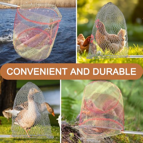 Chicken Catching Net 2 Pcs, 43" to 65" Adjustable Length Animal Net | Chicken Net Catcher Stainless Steel Poultry Catcher for Catching Small Chicken, Goose, Ducks, Fish, Birds(2 Nets & 1 Pole
