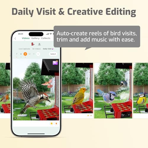 Smart Bird Feeder Camera,Vivid 2.5K Color Night Vision | Free AI Bird Identifier, Durable Squirrel-Resistant Metal Body, Solar Powered, Outdoor Gift for Mom Dad Birds Lovers - color: Red Camera