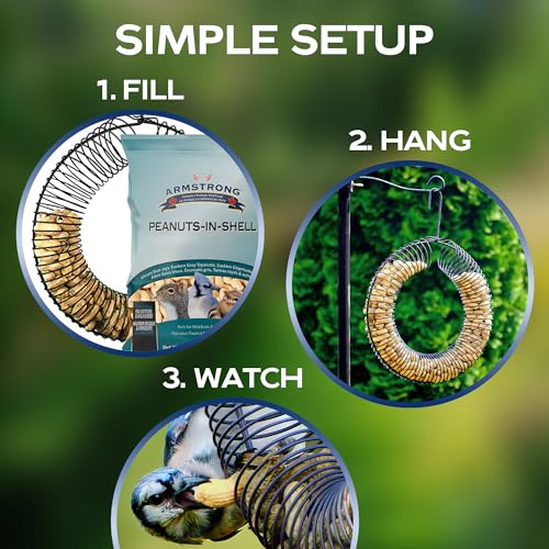 Armstrong Wild Bird Food Wreath-Shaped Peanut Feeder + 6 lb Peanuts-in-Shell Bundle – Durable Metal Hanging Coil Feeder with Nutritious Peanuts for Blue Jays, Squirrels, and Backyard Wildlife - style: Peanut Coil Bundle