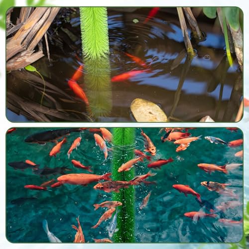 2 Pack Koi Spawning Brush 39" x 7" Fish Pond Filter Brushes with Stainless Steel Ring for Pond Filter Aquarium Skimmer Outdoor Water Garden Decor - size: 39" X 7"