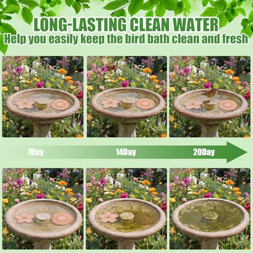 4 Pack Pure Copper Disk for Bird Bath Water Cleaner,Flowers | Triple-point Support, Outdoor Bowl Purification, Algae Prevention Safe, Pure Copper Discs, Flower Petal Design Shapes - size: Flowers