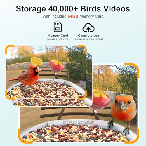 birdsnap® PAV Bird Feeder with Camera Solar Powered 2K Live Video 64GB Card | AI Bird Species Identification, Instant Arrival Alerts, IP65 Waterproof, Wild Bird Feeders for Outdoors, Gift for Bird Lovers - color: Dark Brown