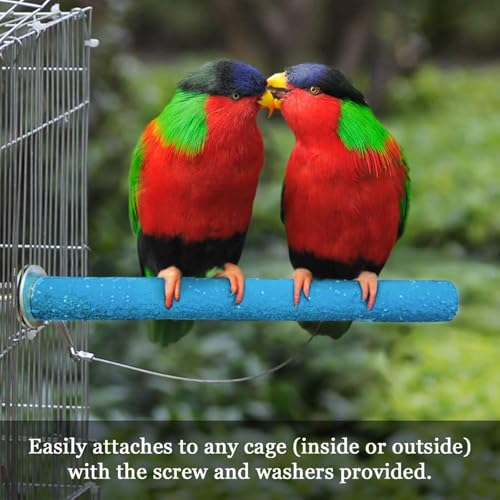 SunGrow Wooden Bird Perch, 8 inches, Quartz Sand Covered, Blue Perch for Lovebirds, Budgies, Finches & Small Birds