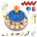 18 Egg Incubator for Hatching Eggs – Smart Auto Turner & Humidity Control, 360° View, Built-in Candler | Hatching Kit with Chick Helmet for Chicken, Duck, Quail | Ideal for Home & Classroom