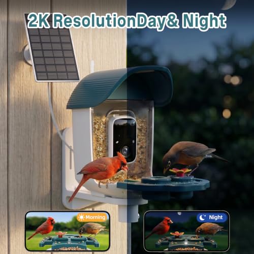 Bird Feeder with Camera Solar Powered, 2K HD Birds Feeder Camera for Outdoors, Instant Motion Detection & Alerts, AI Smart Identify Birds Species, Gifts for Mom Dad and Bird-Lovers(Cyan-Blue) - color: Cyan-Blue