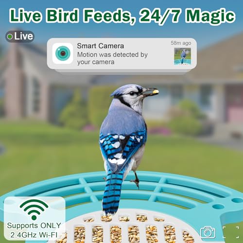 Smart Bird Feeder with Camera, Solar 2K AI Identification, Blue | Dual Solar Power, 32GB SD Included, Squirrel Barrier Tray, IP65 Weatherproof, Instant Bird Alerts, 30-Day AI Cloud Trial - color: blue