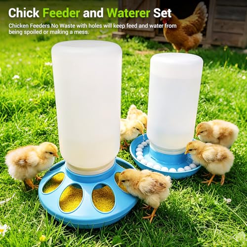 Chick Feeder and Waterer Set, 0.26Gal Quail Waterer with Balls Anti-Drown Chicken Water Feeder no Mess Chicken Supplies in Brooder Poultry Waterer for Ducklings Ducks Button Quails Bird (Blue)