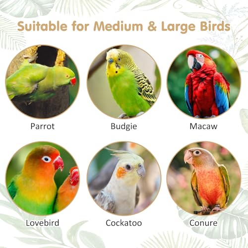PINVNBY 3 Sizes Natural Parrot Perch Grape Wood Bird Stand Pole Parakeet Paw Grinding Fork Chewable Climbing Branches Toy Bird Cage Accessories for Budgies Conures Cockatiels Lovebirds - size: 5.9+7.9+9.8in