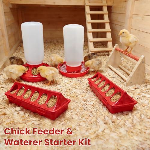 Chick Feeder & Waterer Starter Kit with 2 Trough Feeders and Roost Bar – No-Leak Baby Chick Waterer and Feeders Set for Chicks, Ducklings, Quail & Small Poultry – Essential Brooder Supplies