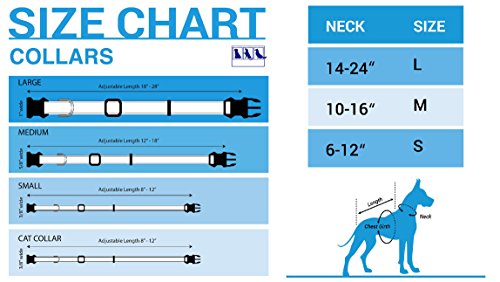 Pets First NFL Dallas Cowboys Licensed PET COLLAR, Small - Heavy-Duty, Strong, and Durable Dog Collar. Available in 31 Football Teams and 4 Sizes - color: Dallas Cowboys, size: Small