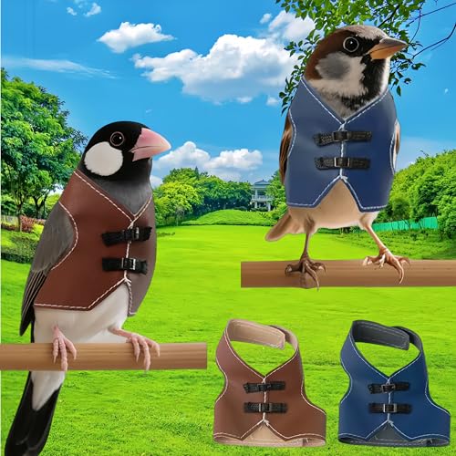 Bird Clothes, Parrot Leather Jacket, Cute Bird Costume Cosplay Photo Prop, Parrot Apparel for Eclectus, Budgerigar, African Greys Parakeet, Conure, Cockatiel, Love Birds-Cowboy Style,Blue,M - color: Blue, size: Medium