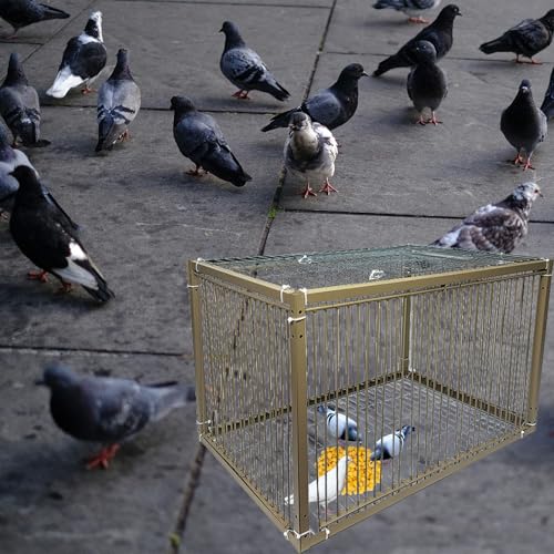 15" H Chicken Pigeon Trap Cage Birdcage Small Animal Trap Cage with Escape-Proof Design for Bird Turkey Duck Dove (23.6" L x 23.6" W x 15.7" H) - size: 23.6"L x 23.6"W x 15.8"H