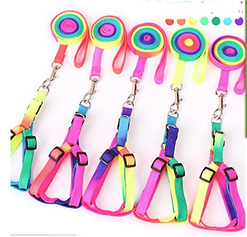 Hypeety Bird Harness and Leash with Buckle Adjustable Bird Vest for Outdoor | Adjustable chest 5.1-12.9'', adorable rainbow design, escape-proof buckles, anti bite training rope for macaw/large bird, M - size: 0.39 × 47.24 in