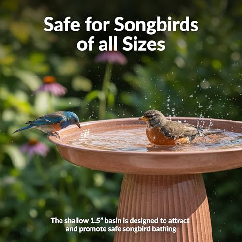 Sunnydaze Modern Bird Bath for Outside, Iron, 23” H, Canyon Clay Glaze | UV & Rust-Resistant Matte Finish, Durable Iron,1 Gal Water Cap, Outdoor Birdbath for Garden, Pedestal Bird Bath with Bowl - color: Canyon Clay Glaze