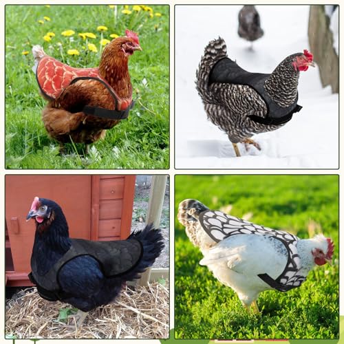 6Pcs Chicken Saddles for Hens, Adjustable Hen Aprons for Back Feather Protection, Waterproof Chicken Vest Jacket for Poultry, Fits Small to Medium Hens (3 Colors)
