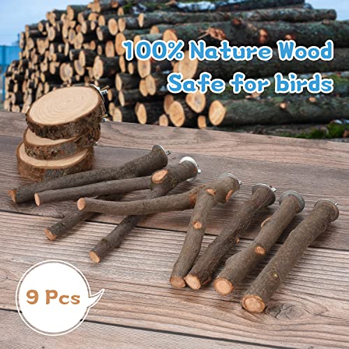 36 PCS Bird Perches Stand Toy, Natural Wood Parrot Perch Stand | Bird Cage Branches Platform Accessories for Parakeets Cockatiels Conures Macaws Finches Love Birds - color: 36Pcs
