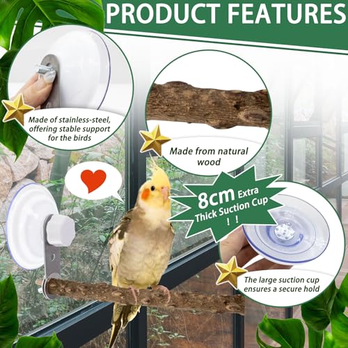 2 Pcs Natural Bird Perch Stand with Suction Cup Window Birds Perch for Window Mirror Car Shower Ceramic Tiles Bath Wood Training Perch, for Bird, Cockatoo, Macaw, Parakeet