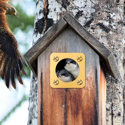 Birdhouse Predator Guard, Helping Reduce Nest Destruction and Enhance Safety for Bird Chicks, 4 Pack, 1 1/2" (1.5in) - size: 1.5 inches