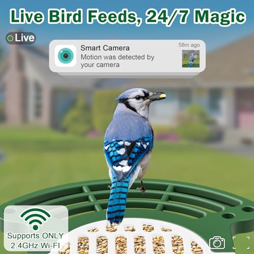 Smart Bird Feeder with Camera, Solar Powered Outdoor House, Green | 2K HD Video, AI Auto Capture Birdhouse, Dual Solar Power Design, Supports Micro SD Card up to 128GB (Not Incl.) - color: Medium Green
