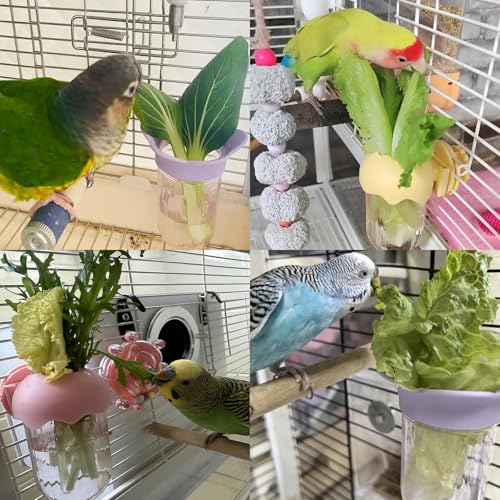 7 PCS Bird Cage Feeder for Vegetable Millet Holder Cage Accessories with Parrot Fruit Forks for Budgie Cockatiel Lovebirds Parrot - color: Yellow