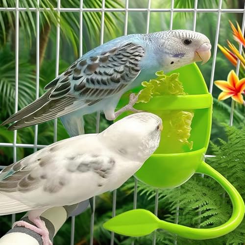 2pcs Cuttlebone Holder for Bird Cage, Plastic Food Holder for Cuttlebone for Birds, Parakeets, Cockatiels, Budgies and Finches - Cuddle Bones Feeding Rack