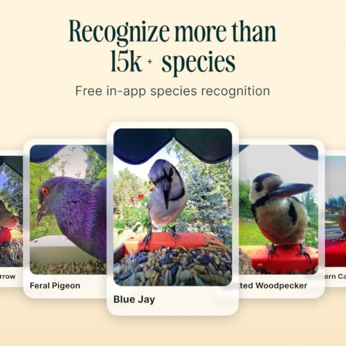 Birdbuddy Pro Smart Bird Feeder with Camera, AI Bird ID, 2K Video & Photos | 2K video quality, 5MP Photos, 1/2.7” sensor with excellent low-light performance, High Dynamic Range (HDR)