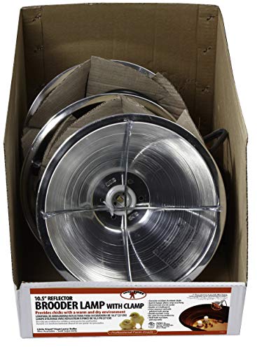 Little Giant® Brooder Reflector Lamp | Heat Lamp for Baby Chicks | 10.5 inch | 250 Watt | Egg Heat Light